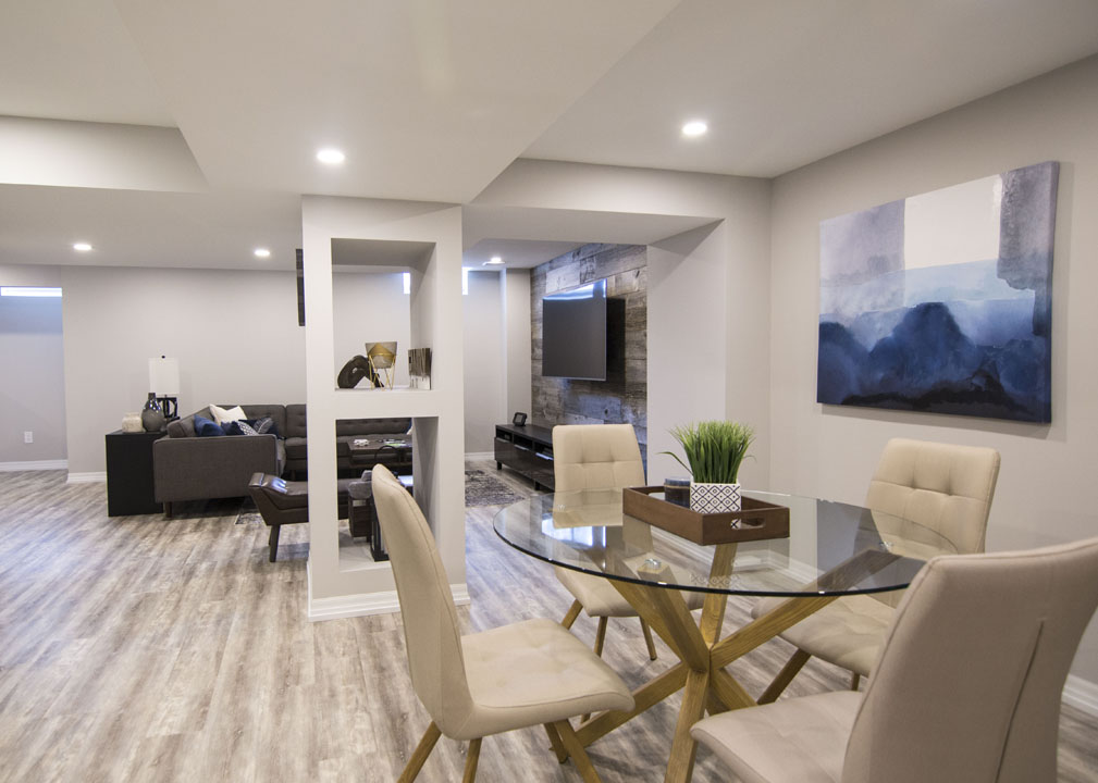 Finished basement living area